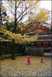 IMG_8076.JPG
