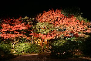 IMG_8102.JPG