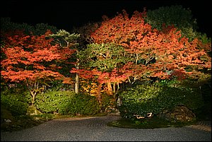 IMG_8119.JPG
