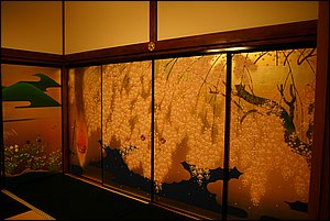 IMG_8126.JPG