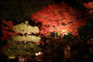IMG_8164.JPG