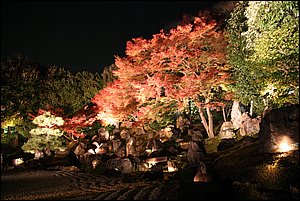 IMG_8171.jpg