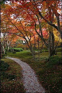 IMG_8383.JPG