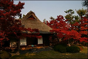 IMG_8442.JPG