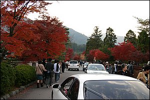 IMG_8450.JPG