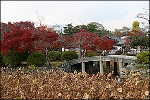 IMG_8451.JPG