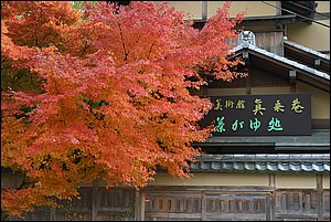 IMG_8459.JPG