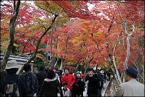 IMG_8463.JPG