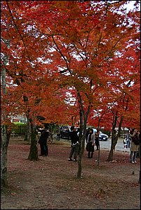 IMG_8468.JPG