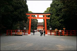 IMG_8641.JPG