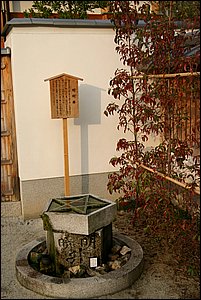 IMG_8674.JPG
