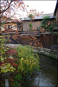 IMG_8678.JPG