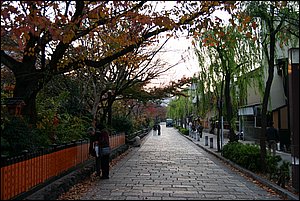 IMG_8681.JPG