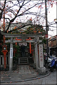 IMG_8683.JPG