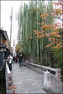 IMG_8684.JPG