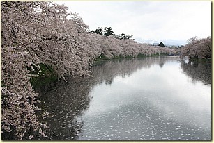 IMG_1231.JPG IMG_1231.JPG