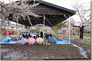 IMG_1243.JPG IMG_1243.JPG