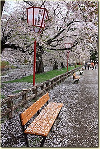 IMG_1252.JPG IMG_1252.JPG