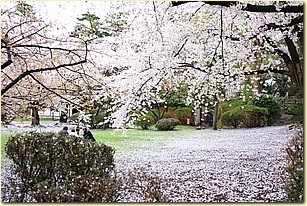 IMG_1253.JPG IMG_1253.JPG