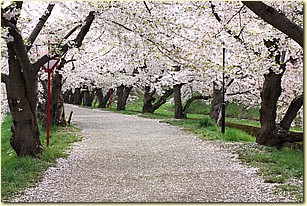 IMG_1361.JPG IMG_1361.JPG