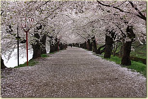 IMG_1363.JPG IMG_1363.JPG