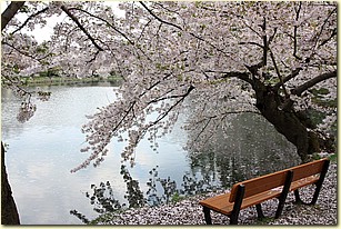 IMG_1422.JPG IMG_1422.JPG