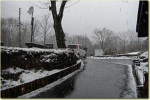 CIMG1503.JPG CIMG1503.JPG