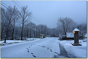 IMG_1681.JPG IMG_1681.JPG